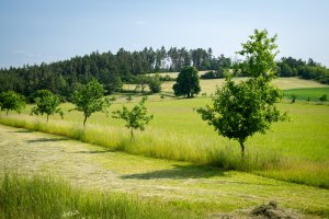 20 let ozdravování lesa a krajiny Velkobítešska