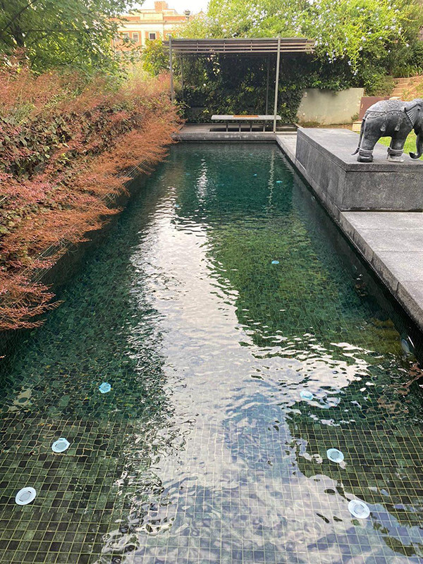 Na trhu je k dispozici celá řada mozaikových obkladů do bazénů, které mohou dokonale splnit představu klienta.