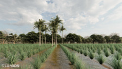 Studentský tým Jirka Petrželka, Anita Černá a Tomáš Roletzki z ČVUT navrhli sirotčinec v Kongu, který slaví světový úspěch