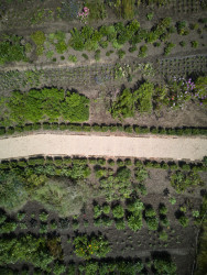 Letecký pohled na zahradu (Krafferova zahrada v Jindřichově Hradci od matěj šebek architekti a Ateliér Za Mák)