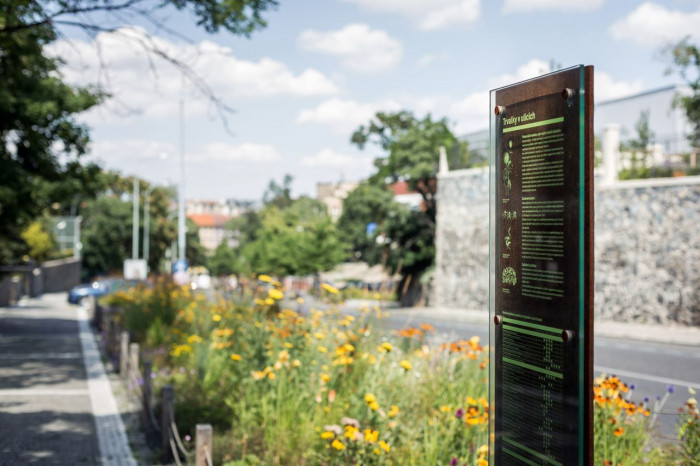 Šmídová Landscape Architects, Extenzivní trvalkový záhon v Italské ulici - foto