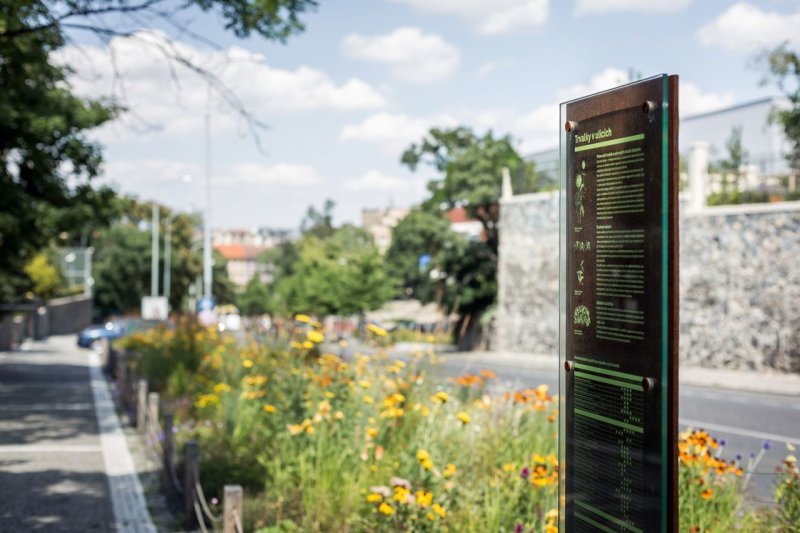 Šmídová Landscape Architects, Extenzivní trvalkový záhon v Italské ulici - foto