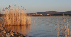 Současná podoba jezera Medard