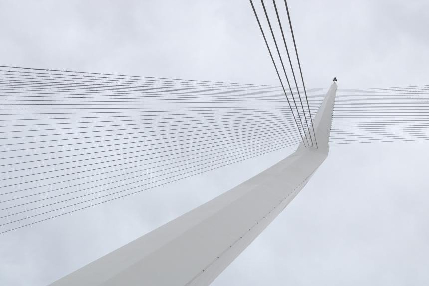 Jemné předivo lan.(Santiago Calatrava, Most strun)