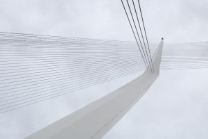 Jemné předivo lan.(Santiago Calatrava, Most strun)