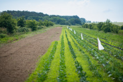 Vítězný projekt v kategorii volná krajina: Regenerace půdy a krajiny Jagava Permafarmy