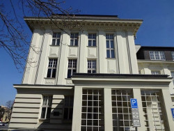 Leopold Bauer, Obchodní komora