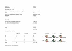 Bytový dům v Karlíně, bilance, Barbora Červeňová
