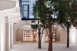 Fach, Ilja Skoček, Martin Skoček, Foto