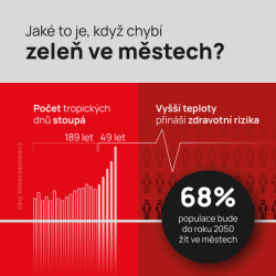 Benefity zelených fasád