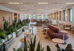 Administrativní brutalistickou budovu v americkém New Haven proměnili architekti ze studia Becker + Becker na luxusní hotel Marcel