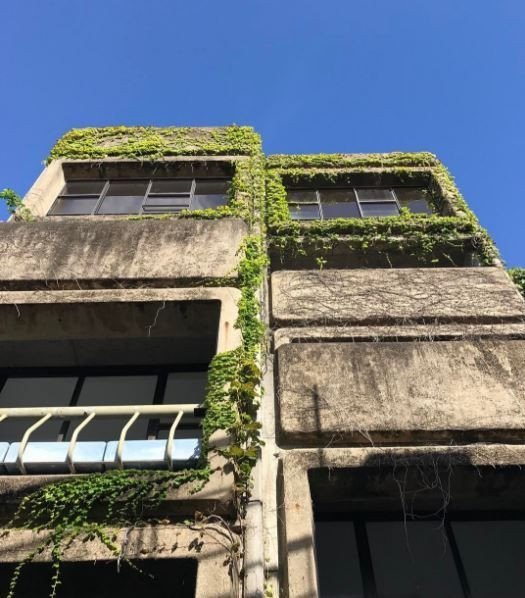 Sirius Building, Tao Gofers