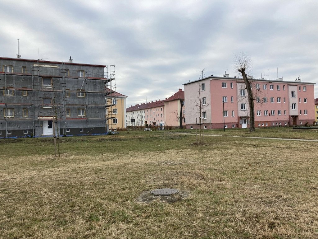 Nadace Proměny Karla Komárka vyhlašuje výzvu k obnově parku před Základní školou U Červených domků v Hodoníně