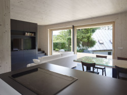 Rodinný dům u Slapské přehrady, Stempel & Tesar architekti - foto