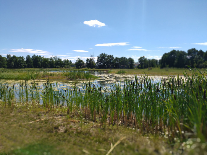 Do letošního ročníku soutěže Adapterra Awards se přihlásilo rekordních 115 realizací ze všech krajů republiky