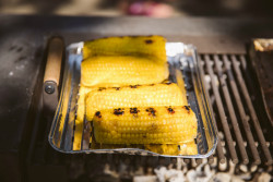 Pilotní projekt piknikových míst v pražské Stromovce, Land 05 / Martina Forejtová