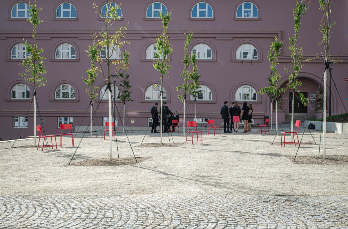 V nejvyšší úrovni najdete mlatový povrch a příjemný stín pod vysázenými stromy muchovníků. (Mezi školami, MED ARKITEKT)