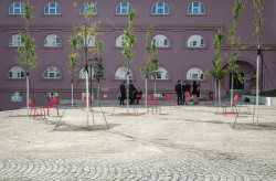 V nejvyšší úrovni najdete mlatový povrch a příjemný stín pod vysázenými stromy muchovníků. (Mezi školami, MED ARKITEKT)