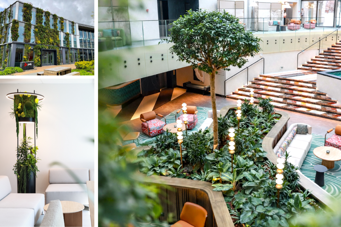 Jungle Interiors přináší zeleň na míru – od zelených stěn, atrií a fasád až po pronájem rostlin s profesionální péči.