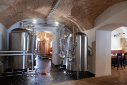 Pivovar eMBe, Konceptual