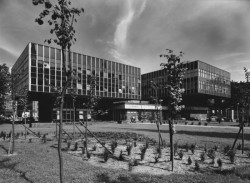 Pragerovy kostky v centru Prahy budou dál chátrat. Odhlasovalo to vedení města. 