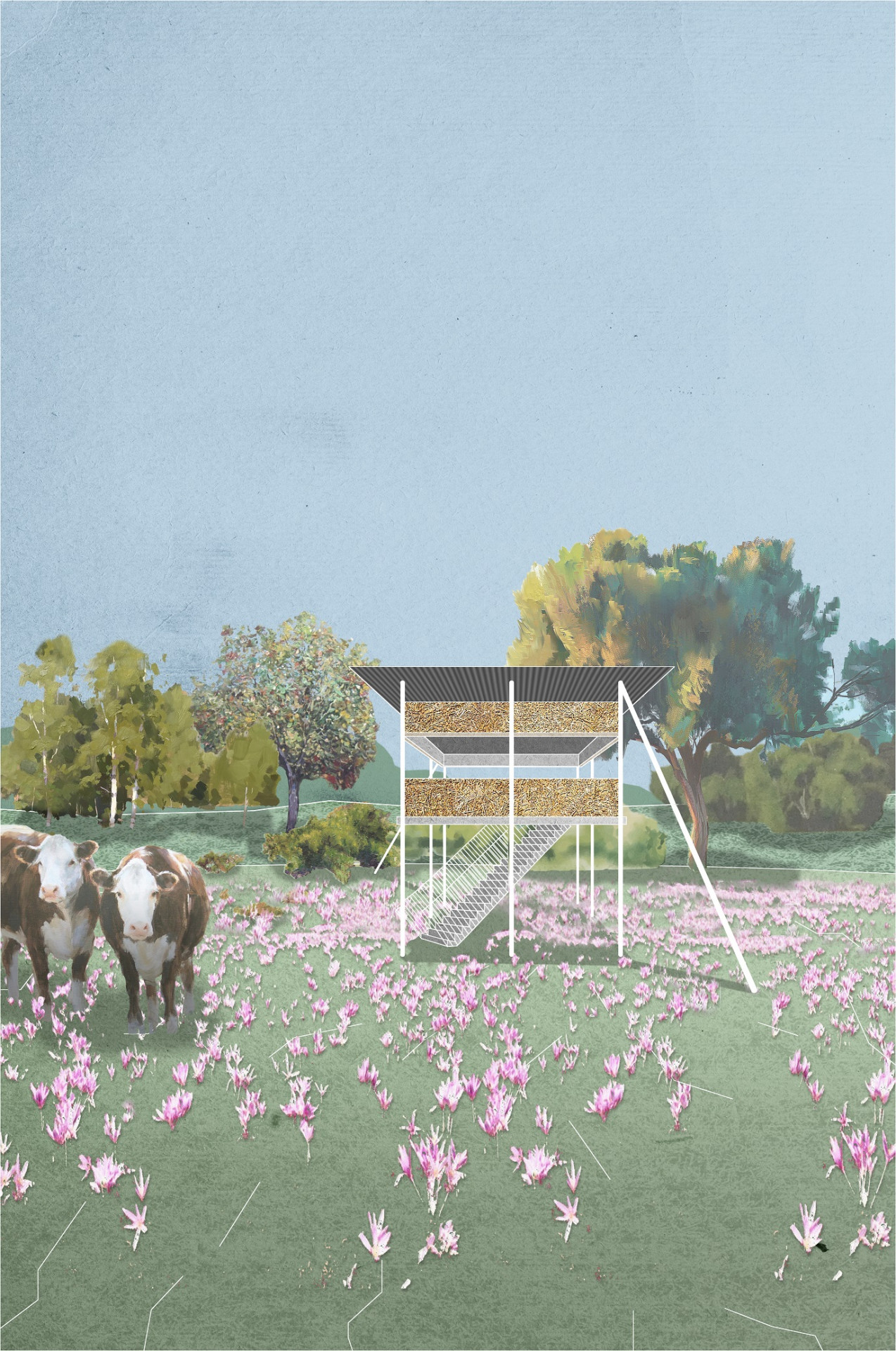 2. místo - Jana Zuntychová, Adam Lacina, Jan Pospíšil