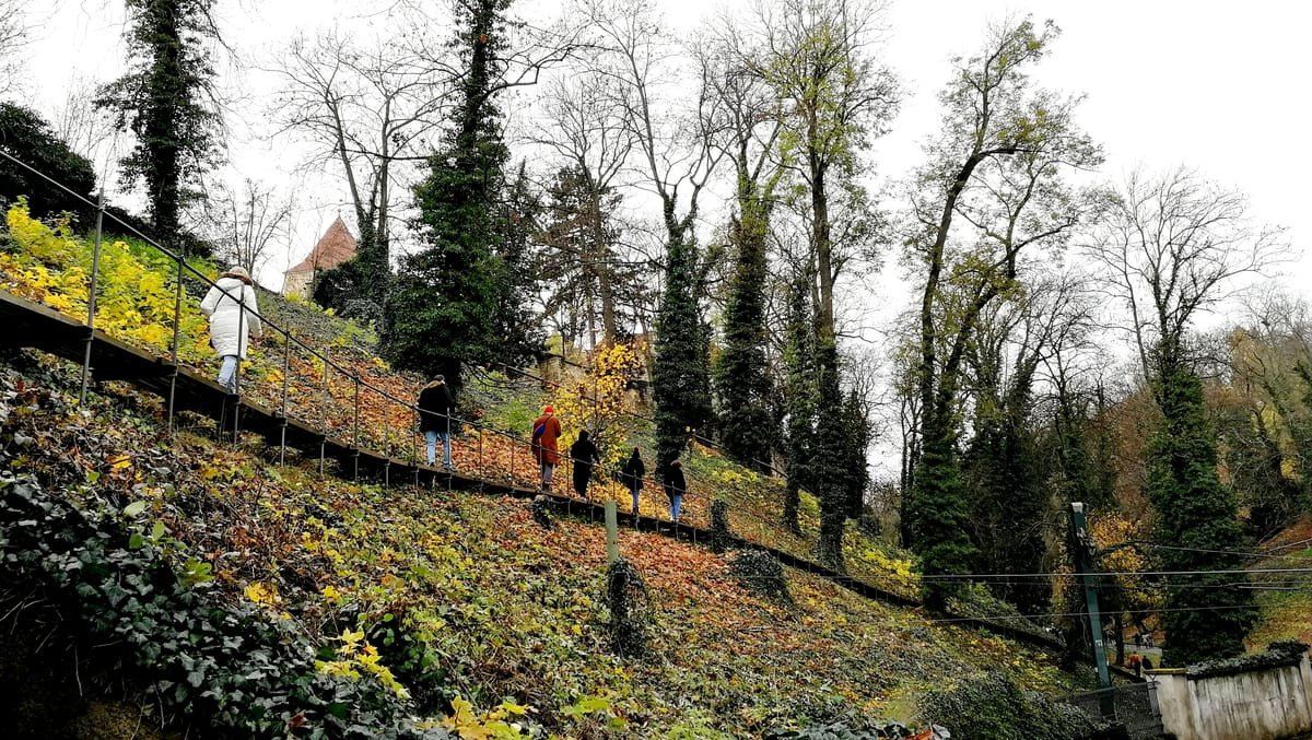 Pro vybudování netradiční soustavy cest využil zejména přírodní materiály jako lomový kámen, režné pálené cihly nebo surový beton. Nejvýraznějším prvkem cesty se stal tunel skrze val Prašného mostu nad korytem říčky Brusnice. Pleskot zde vybudoval efektní průchod vejčitého tvaru dlouhý 84 metrů, kterému dal podobu klenutého prostoru z režných cihel. Zároveň zachoval pohled na otevřené koryto Brusnice přemostěné pouze ocelovými rošty.