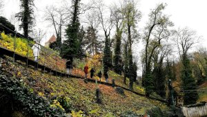 Pro vybudování netradiční soustavy cest využil zejména přírodní materiály jako lomový kámen, režné pálené cihly nebo surový beton. Nejvýraznějším prvkem cesty se stal tunel skrze val Prašného mostu nad korytem říčky Brusnice. Pleskot zde vybudoval efektní průchod vejčitého tvaru dlouhý 84 metrů, kterému dal podobu klenutého prostoru z režných cihel. Zároveň zachoval pohled na otevřené koryto Brusnice přemostěné pouze ocelovými rošty.