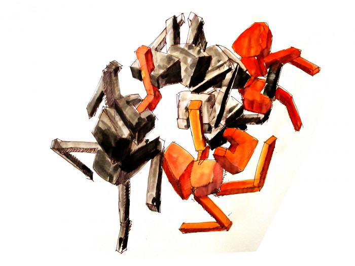 Herní krajina Pecka, Matěj Hájek a Tereza Kučerová (Moloarchitekti s.r.o), skica zápasu mravenců