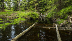 Ocenění za speciální počin získaly mokřady Krkonošského národního parku a revitalizace městského parku ve Špindlerově Mlýně.