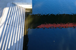 Náplavka v Plzni, Ateliér k světu: Dle studie měly na místě vzniknout zatravněné a zpevněné plochy, schody do vody, sezení v trávě nebo hrací prvky, přičemž některé prvky na místě zatím chybí