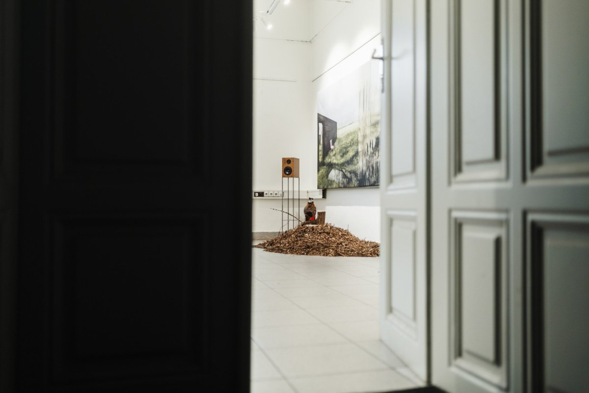 Architektka Blanka Solár vystavuje v Galerii Mini na brněnské Fakultě architektury expozici Hřbitov bez hrobů; pietní biocentrum?