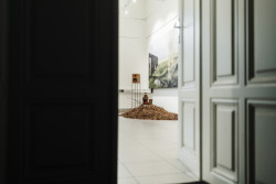 Architektka Blanka Solár vystavuje v Galerii Mini na brněnské Fakultě architektury expozici Hřbitov bez hrobů; pietní biocentrum?