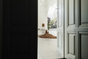 Architektka Blanka Solár vystavuje v Galerii Mini na brněnské Fakultě architektury expozici Hřbitov bez hrobů; pietní biocentrum?