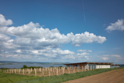 Vinařství Přátelé Pavlova od Ateliéru Štěpán