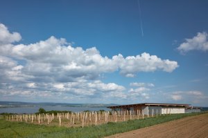 Vinařství Přátelé Pavlova od Ateliéru Štěpán