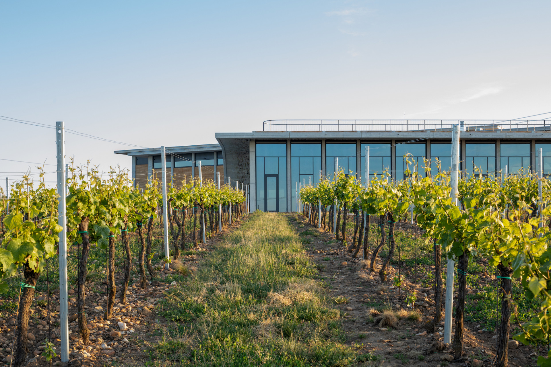 Sídlo Vinařství LAHOFER v Dobšicích u Znojma, Chybík+Krištof