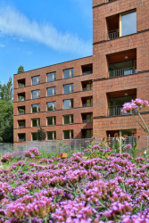 Na Julisce stojí tři nové bytové domy. Navrhlo je studio bod architekti.