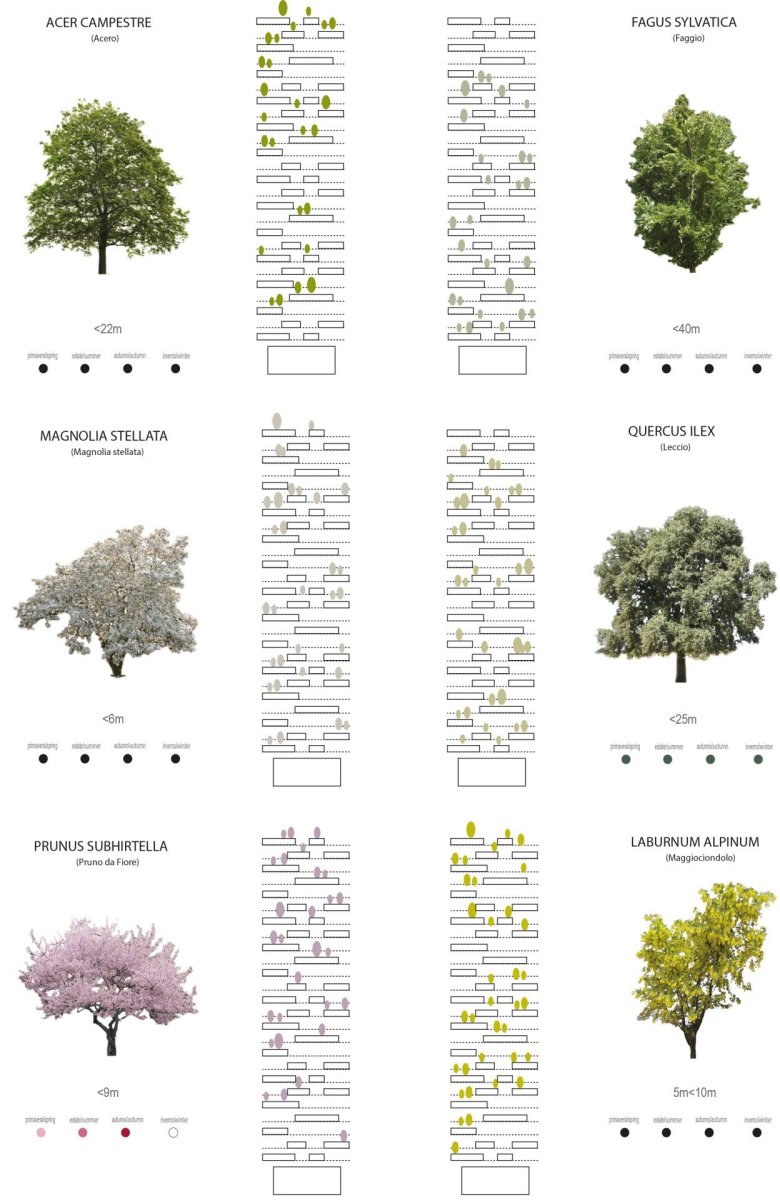 Diagram of trees and plants of the Bosco verticale, 2014