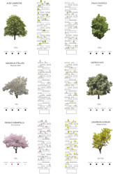 Diagram of trees and plants of the Bosco verticale, 2014