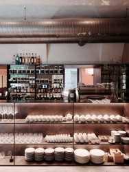 Fach, Ilja Skoček, Martin Skoček, Foto