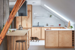 Dřevěná kuchyňská linka vizuálně sjednocuje celý interiér. (Rekonstrukce podkrovního bytu, Matěj Šebek)
