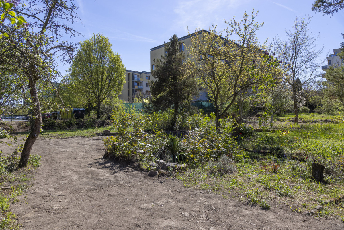 Krajinářské architektky nazývají momentální stav jako "vágní" a "neurčitý." (Proměna zahrádkářské kolonie na park v Praze; Terra Florida)