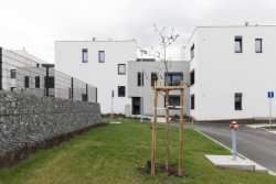 Obytný soubor Lesopark Motol v Praze