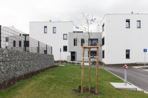 Obytný soubor Lesopark Motol v Praze