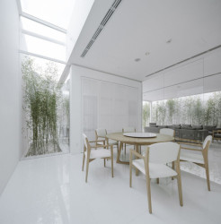 Bamboo Forest, V Studio