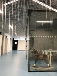 Prosklenou jednací místnost obsadil houpací kůň