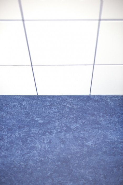 Přístavba školní družiny ZŠ Újezd v Plzni, Projectstudio8