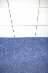 Přístavba školní družiny ZŠ Újezd v Plzni, Projectstudio8