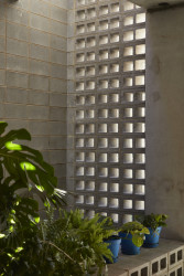 Terasový dům v Sydney od studia Austin Maynard Architects